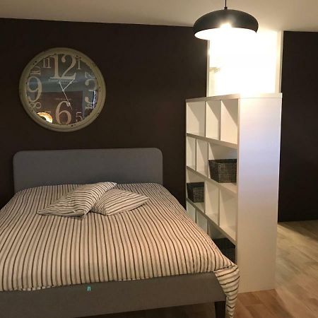 Large Studio Near Epfl And Lausanne City Center Ecublens  Exterior foto