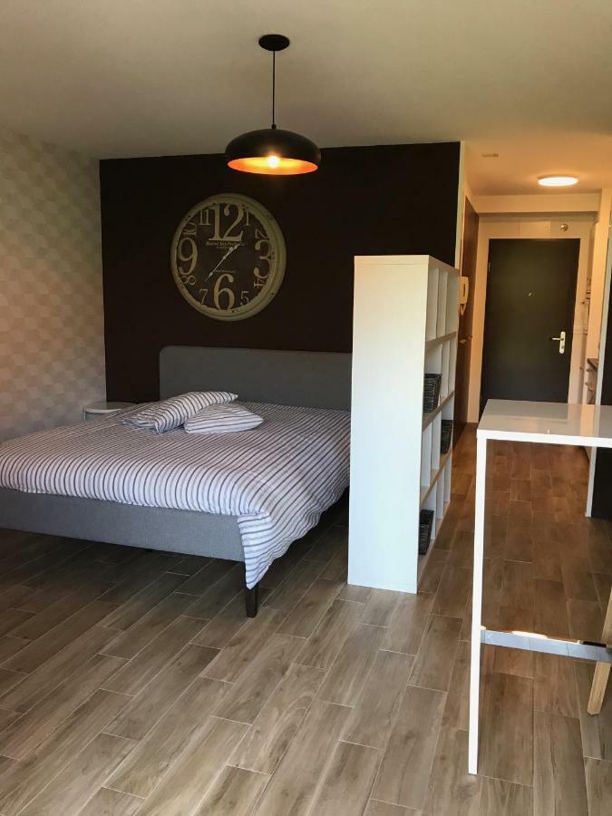 Large Studio Near Epfl And Lausanne City Center Ecublens  Exterior foto