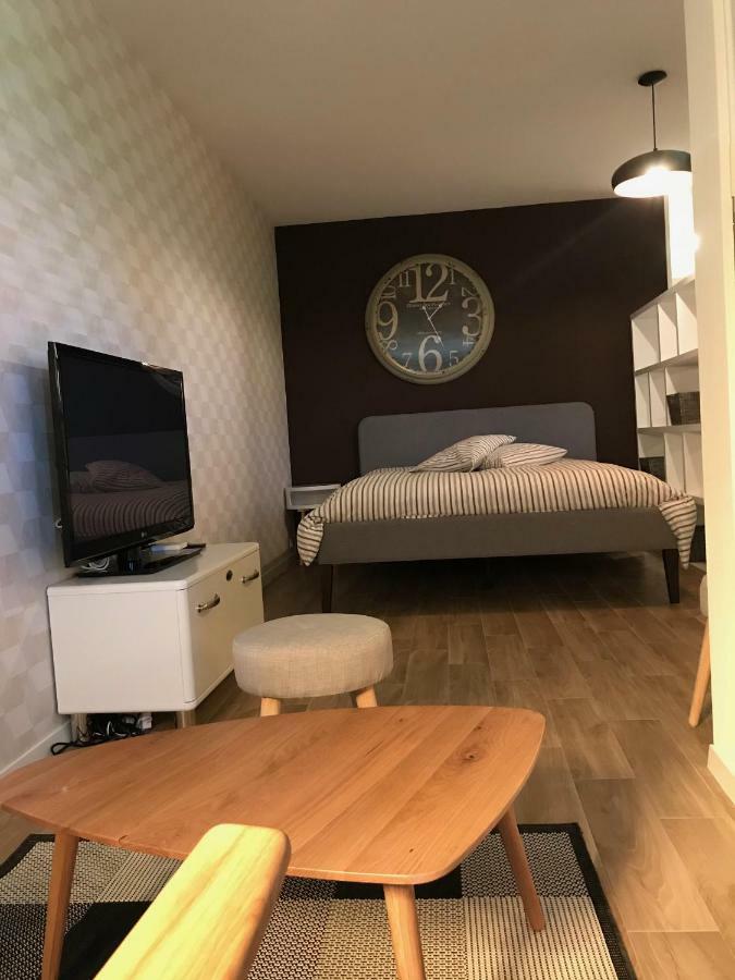 Large Studio Near Epfl And Lausanne City Center Ecublens  Exterior foto